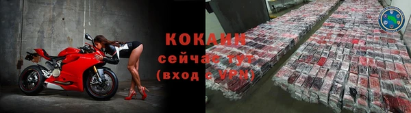 спайс Няндома