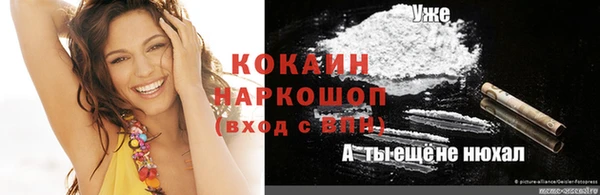спайс Няндома