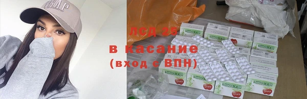 спайс Няндома