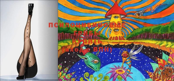 спайс Няндома