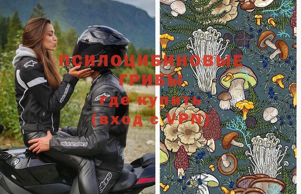 спайс Няндома