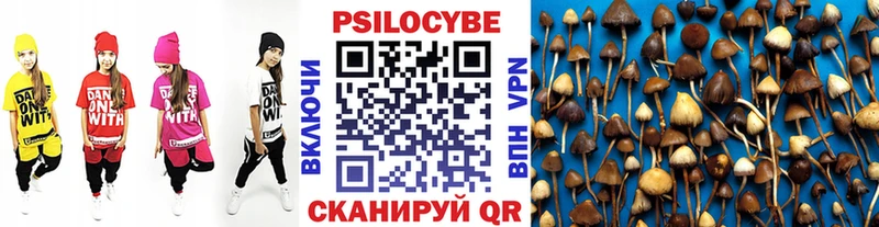 Галлюциногенные грибы Magic Shrooms  купить наркотики сайты  Короча 